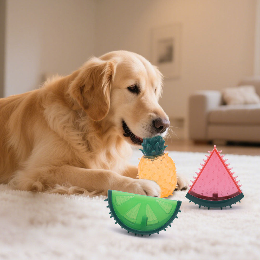 Hundeseng-vennlig tyggeleke i TPR – pipelyd & bittresistent fruktform