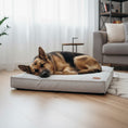 Load image into Gallery viewer, Hundeseng myk og vaskbar for mellomstore og store hunder
