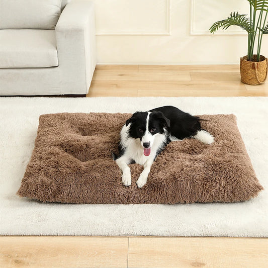 Hundeseng i myk plysj – komfortabel Hundeseng