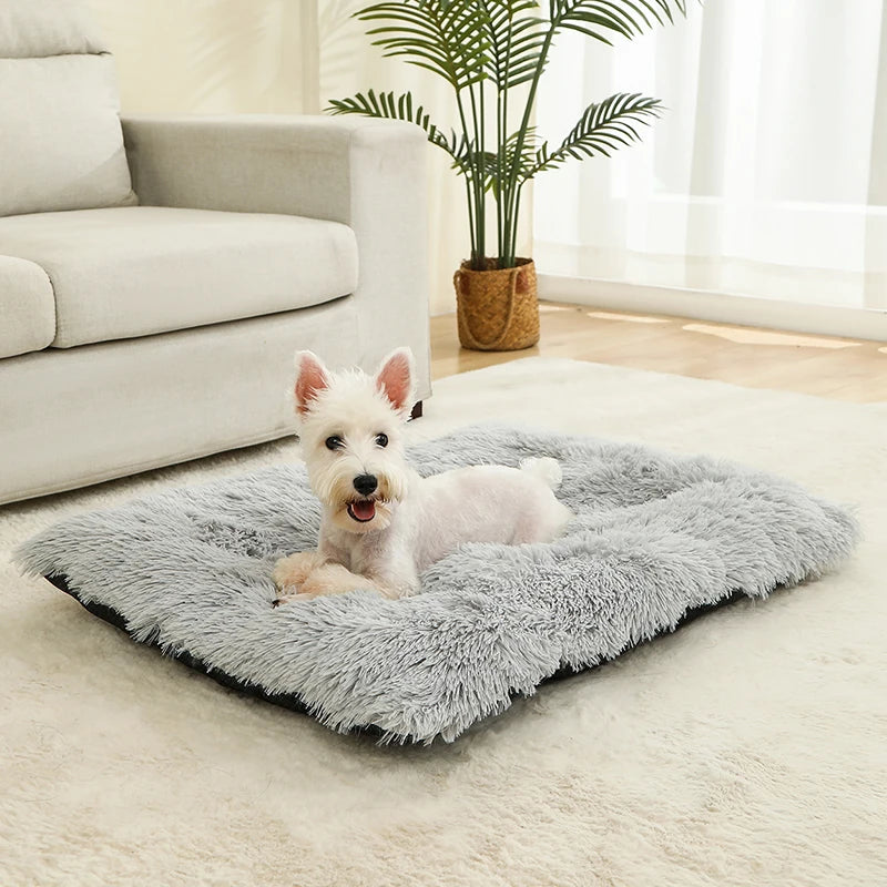 Hundeseng i myk plysj – komfortabel Hundeseng