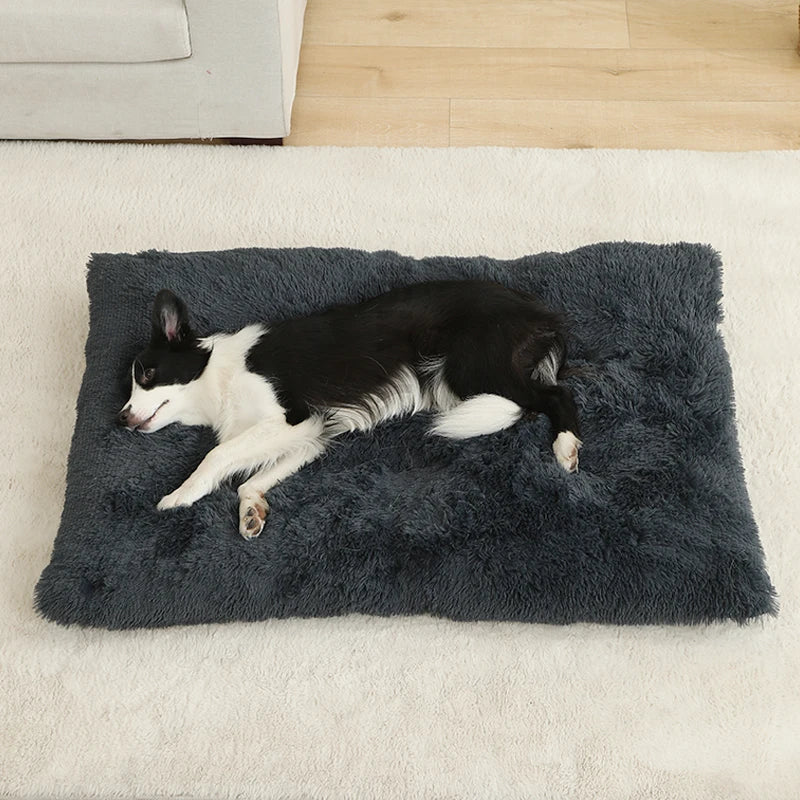 Hundeseng i myk plysj – komfortabel Hundeseng