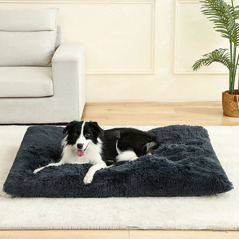 Hundeseng i myk plysj – komfortabel Hundeseng
