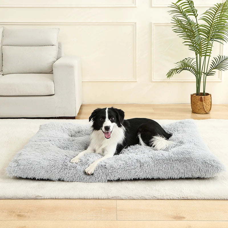 Hundeseng i myk plysj – komfortabel Hundeseng