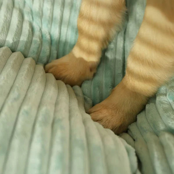 XXL Anti-stress Hundeseng